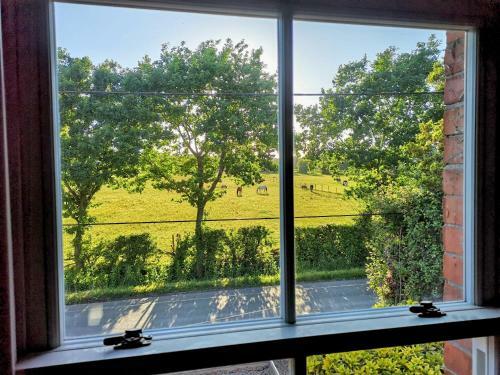 Stunning New Forest Cottage Close To Paultons Park
