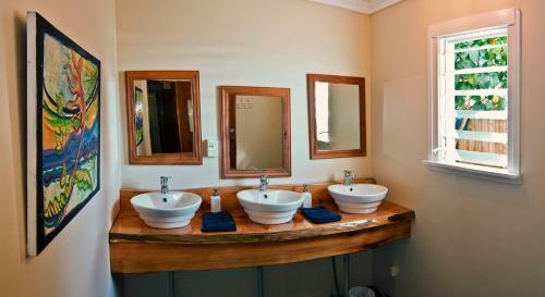Albergue The Mousetrap Backpackers
