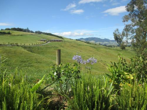 Kauri Lodge