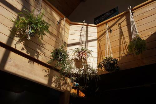 Albergue Peppertree Lodge