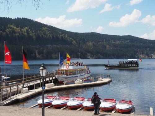 Apartamento B2 Schwarzwald-ferienwohnung