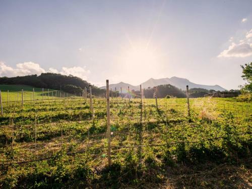 Lovely Apartment In Sassoferrato With Garden