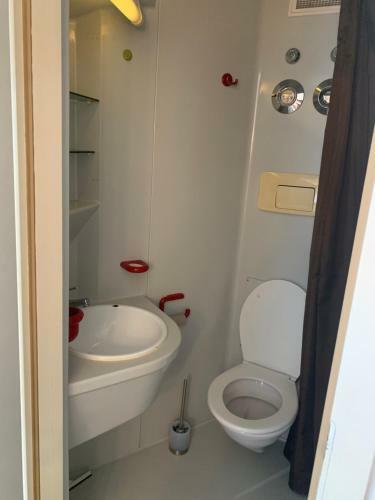 Luxurious Apartment , Next To University& Wifi, Free Parking