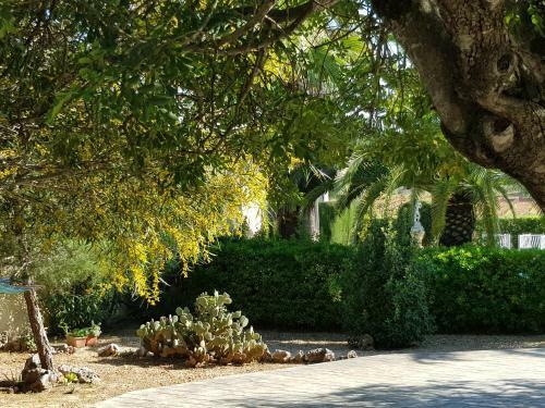 Villa Casa Vitalis