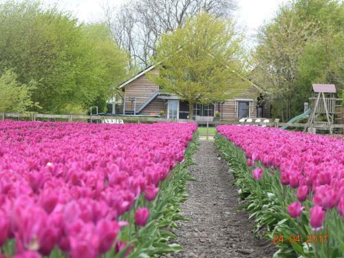 Luxury Holiday Home With Jacuzzi In Noordbeemster