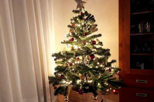 Apartamento Holidays And Work Los Gigantes, Internet 600 Mb