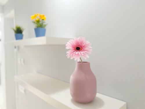 Lovely Detached Bungalow By Pride Holiday Rentals