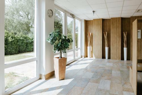 Apartamento Rosenalm Scheidegg