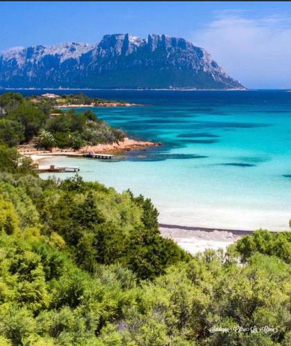 Apartamento Luxury Liscia Di Vacca - Porto Cervo C