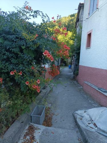 Apartamento Zarah Home