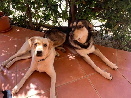 Apartamento Villa Kalos
