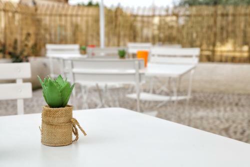 B&B Bouganville