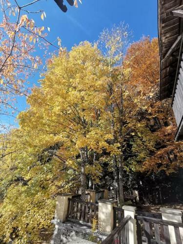 Apartamento Alloggio Incantevole Immerso Nel Verde