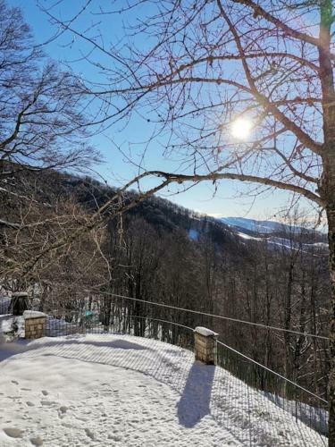Apartamento Alloggio Incantevole Immerso Nel Verde