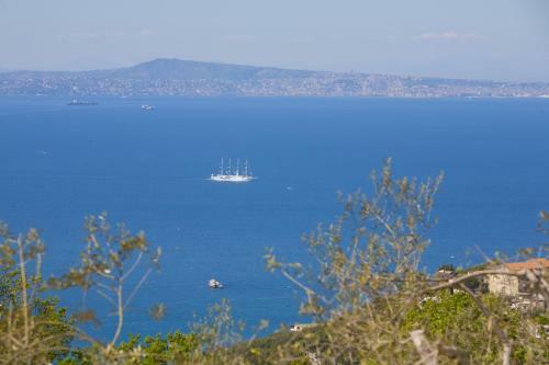 Amore Rentals - Villa Venus