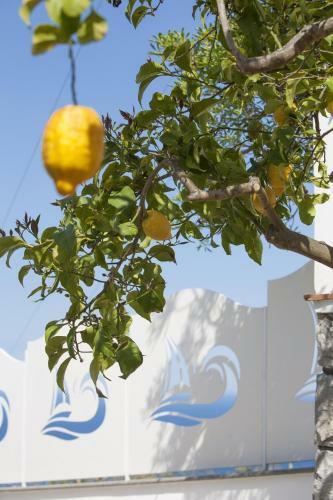 Amore Rentals - Villa Venus
