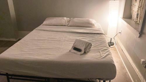 Pet Friendly Budget Apartment Near Roosevelt Boulevard