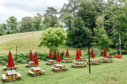Agroturismo Camp Trapezium Suite 8: Brewery + Farm