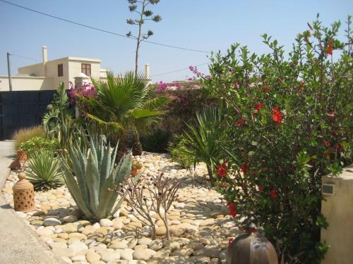 Hostal Dar Macha