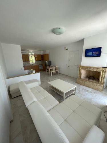 Amedi Villas Tinos