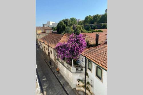 Apartamento Hidden Gem W/ Rooftop - City Center & Douro View
