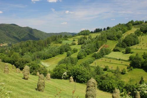 Hostal Pensjonat Chlipa?a J�zefa