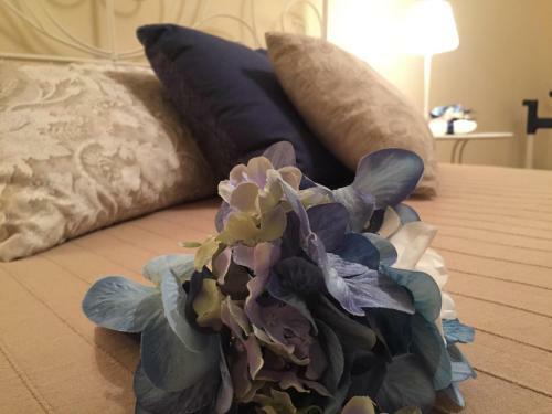Apartamento Palazzo Don Carlo- Appartamenti -