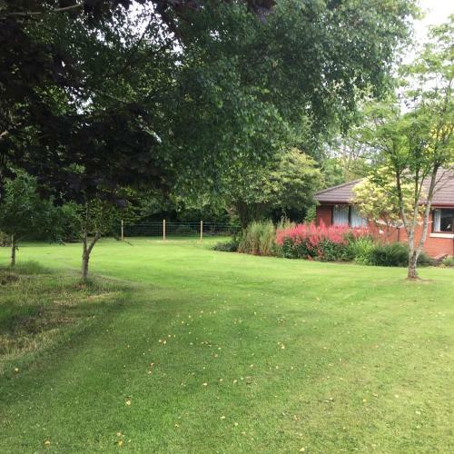 Bed & Breakfast Impala Guest Lodge