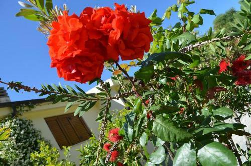 Apartamento Villa Elisabetta