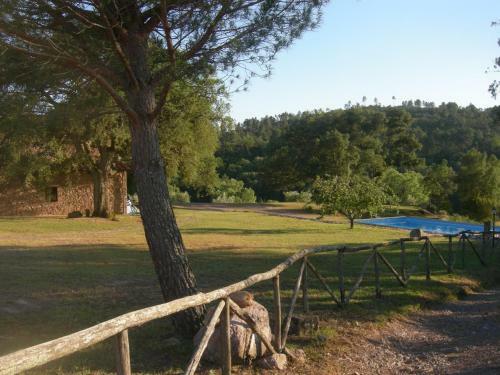 Agroturismo Agriturismo Poggio Macinaio