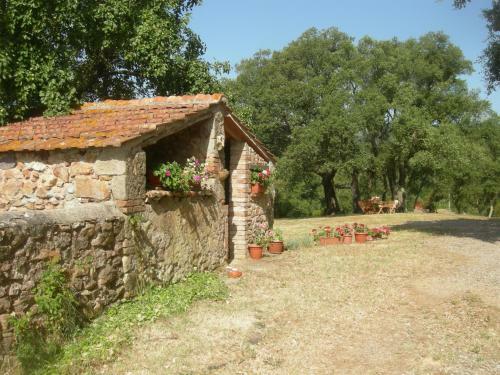 Agroturismo Agriturismo Poggio Macinaio