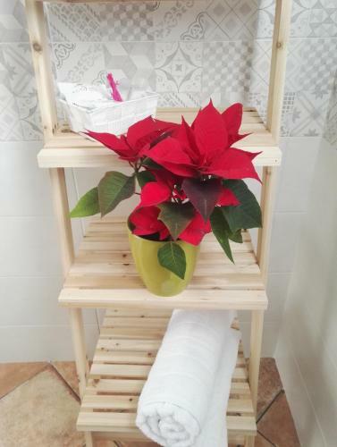 Bed & Breakfast Il Grillo Parlante
