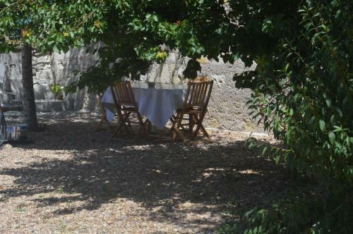 G�te Dans Le Vignoble De Bourgueil