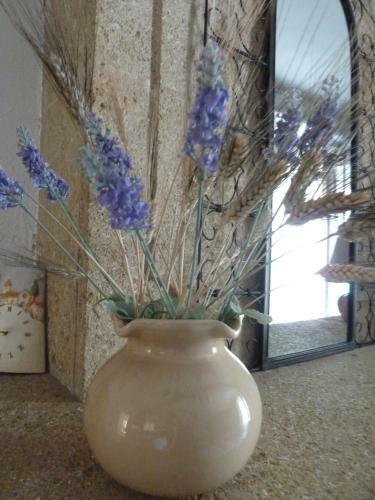 Provence's Home