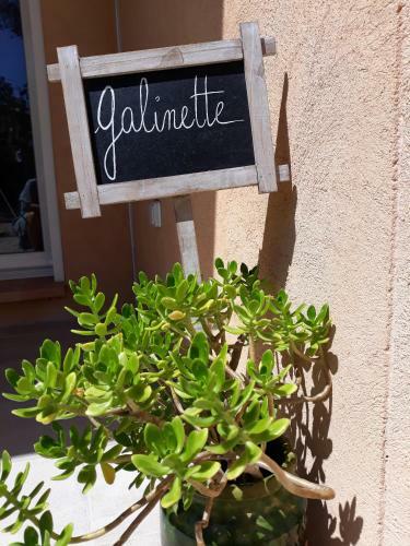 Galinette