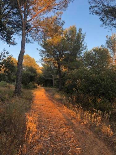 Hostal Cabanon Sainte Victoire