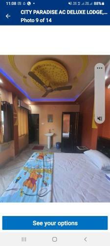 City Paradise AC Deluxe Lodge, Balrampur