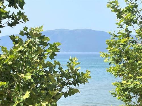 Seaview Apartment