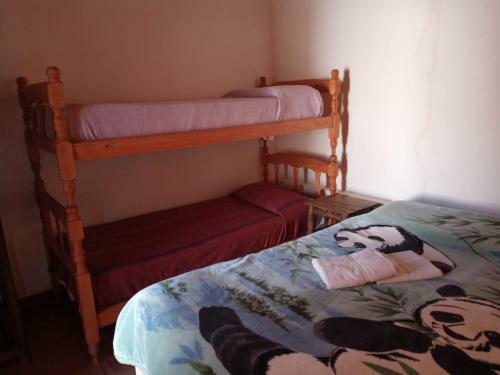 Hotel Cactus Hostel