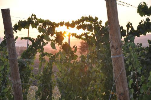 Agroturismo Cantina Morami
