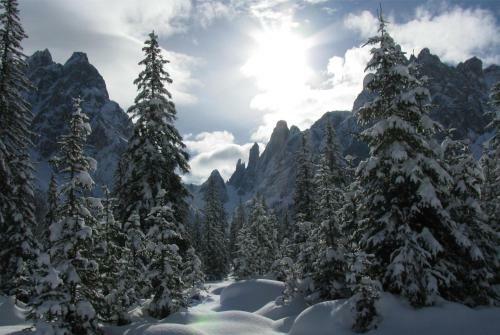 Hotel Dolomitenhof & Chalet Alte Post