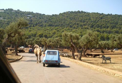 Agroturismo Casavacanza In Campagna Popolata