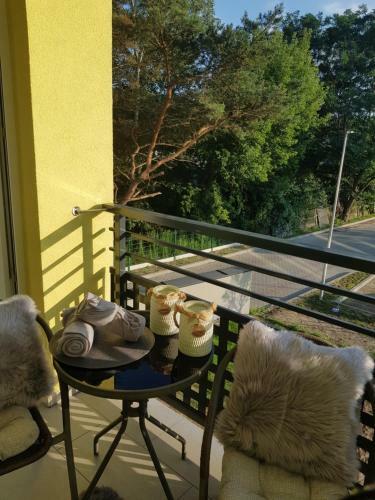 Apartament 21
