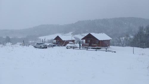 Lodge Domki Puchary Bieszczady
