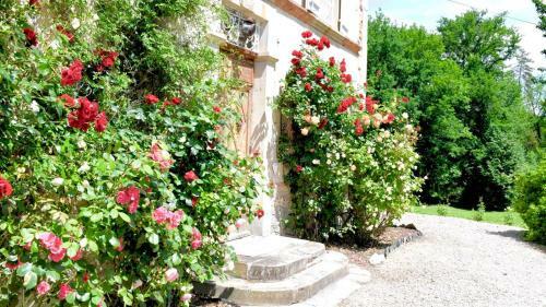 Bed & Breakfast Chateau De Belespy
