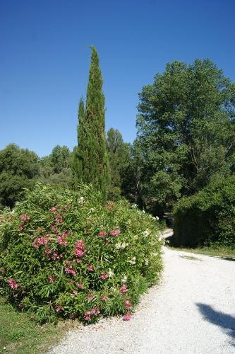 Bed & Breakfast Casa Sorgente