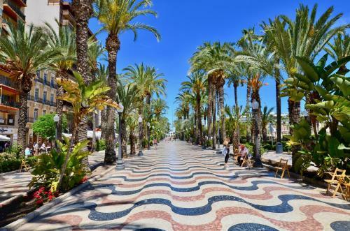 Luxury City Center Apartment