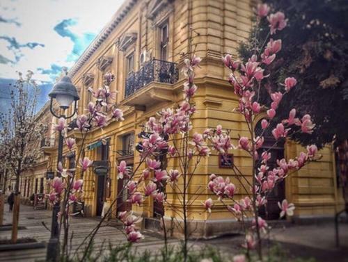 Lella Apartment - Pedestrian Zone & Charming Balcony