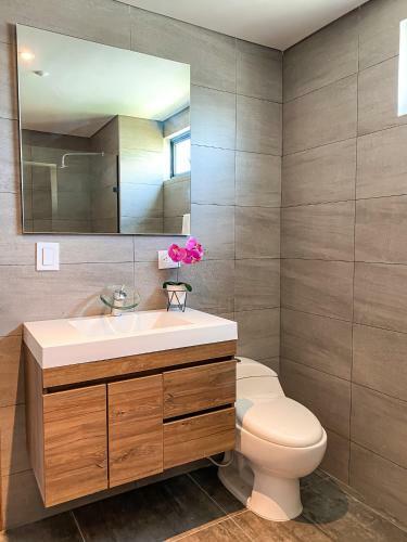 Alojamiento Entero: Apartamento Barranquilla