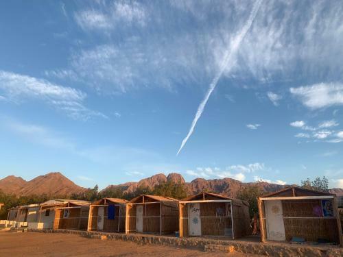 Alwaha Camp